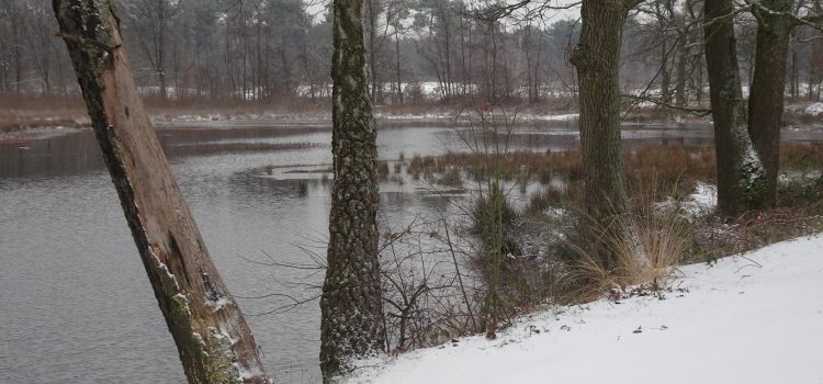 Winterprik Winterprik